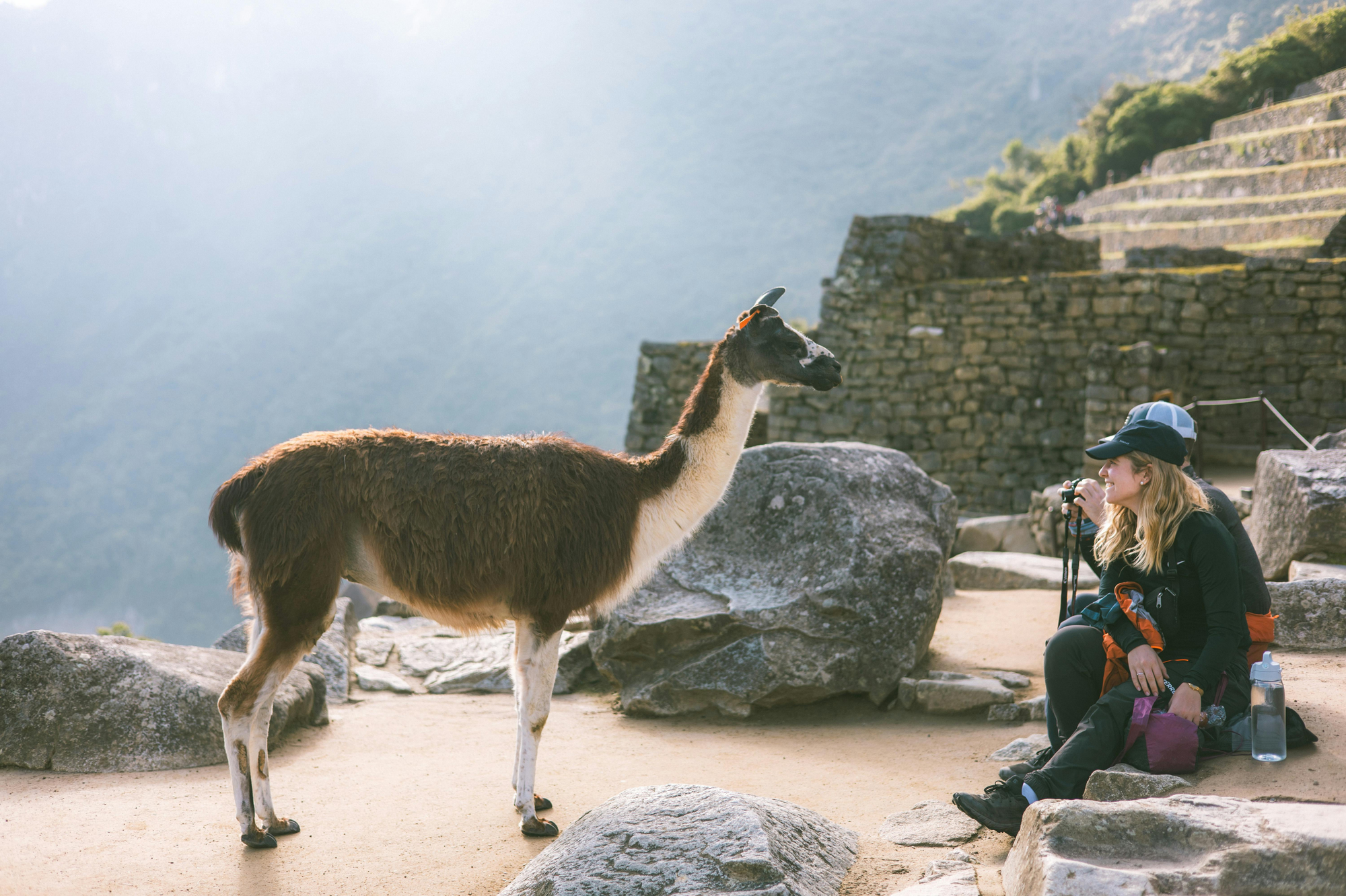 Journey through Peru