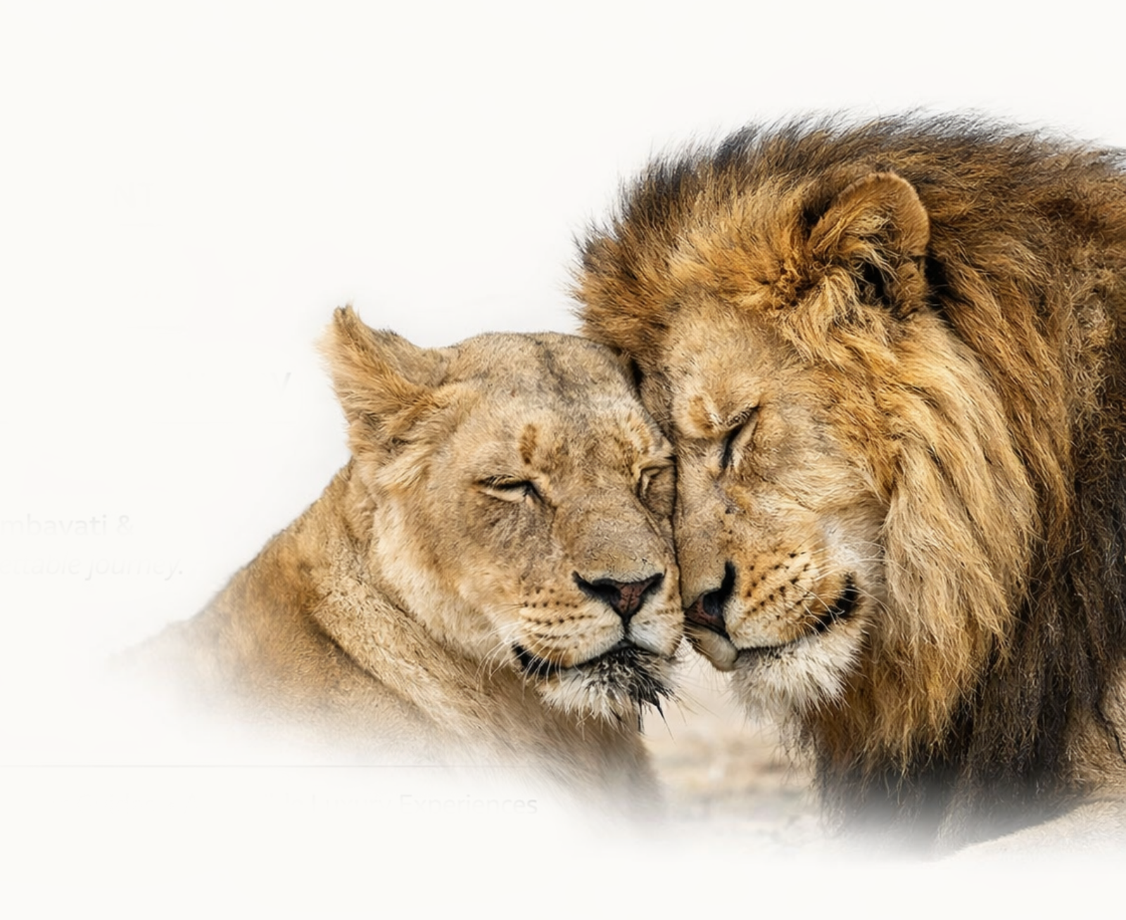 9-Day Southern Africa Signature Journey