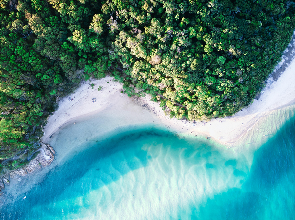 6-Day Tropical North Queensland Experience