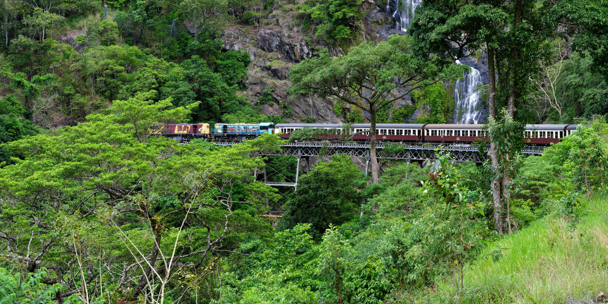 Tropical North Queensland Experience